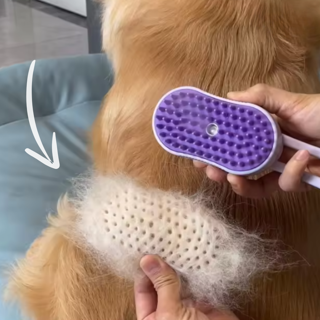 SprayEase Pet Comb
